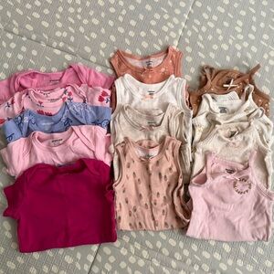 Gerber Baby Girls' Assorted Tank Top and T shirt bodysuits - Pink, White, Brown